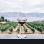 taã de vinho